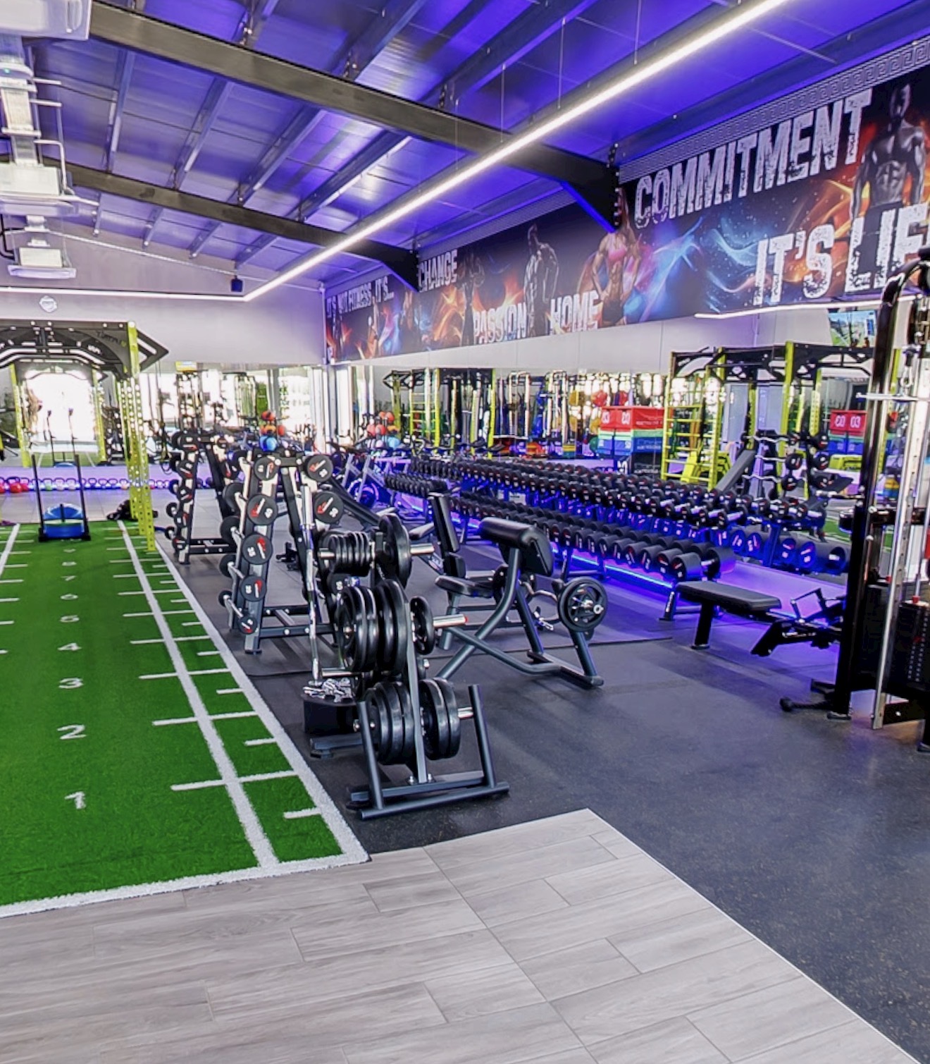 Free weights at VIP GYM Paralimni